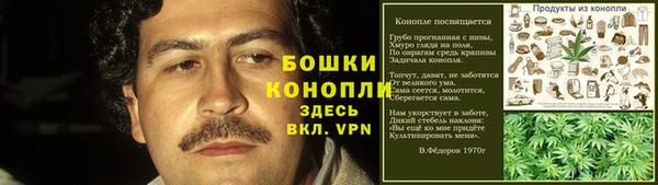 шишки Балахна