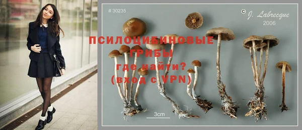 каннабис Баксан