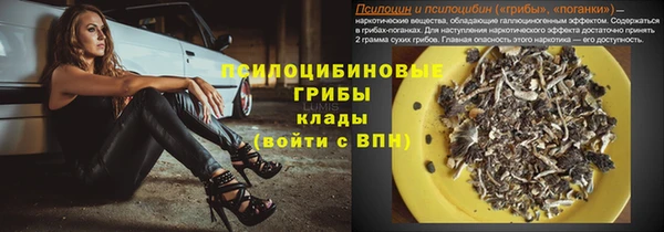 шишки Балахна